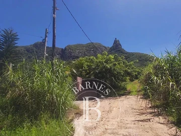 Agricultural Land