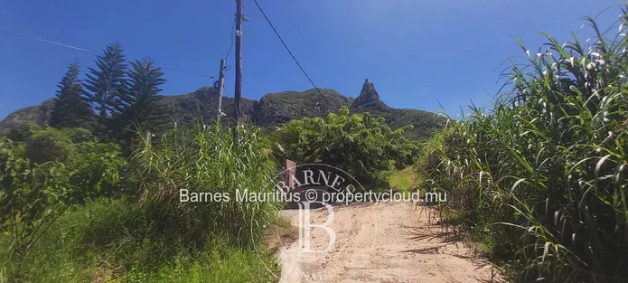 MOKA – Terrain agricole avec maison conteneur – 3 160 m²