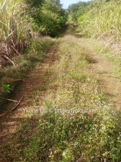 Terrain Agricole En Vente À Beau Climat