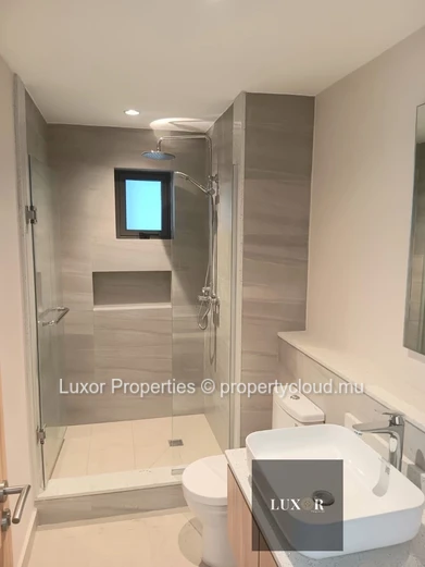 New One-Bedroom Apartment for Rent – Metropole