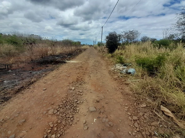 Agricultural Land
