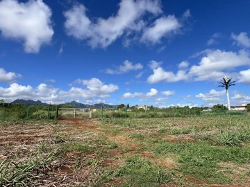 Commercial Land