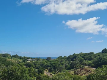 Residential Land