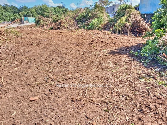 Rare Terrain De 2 935,8 M² À Pamplemousses
