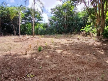 Terrain Résidentiel