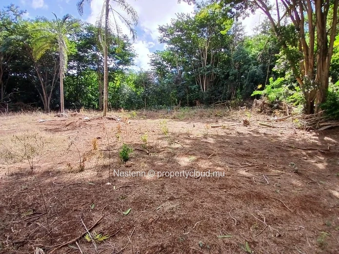 SUPERB BUILDING PLOT OF 1,790 m² IN PAMPLEMOUSSES