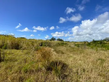 Agricultural Land
