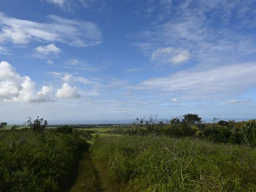 Terrain Agricole
