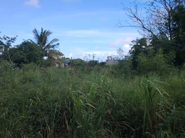 Residential Land