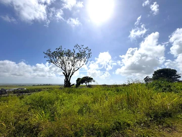 Residential Land