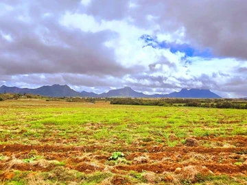 Land