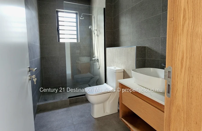 The Penthouse Collection