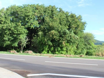 Residential Land