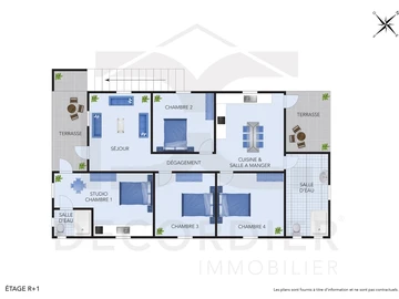 4 Bedroom Apartment