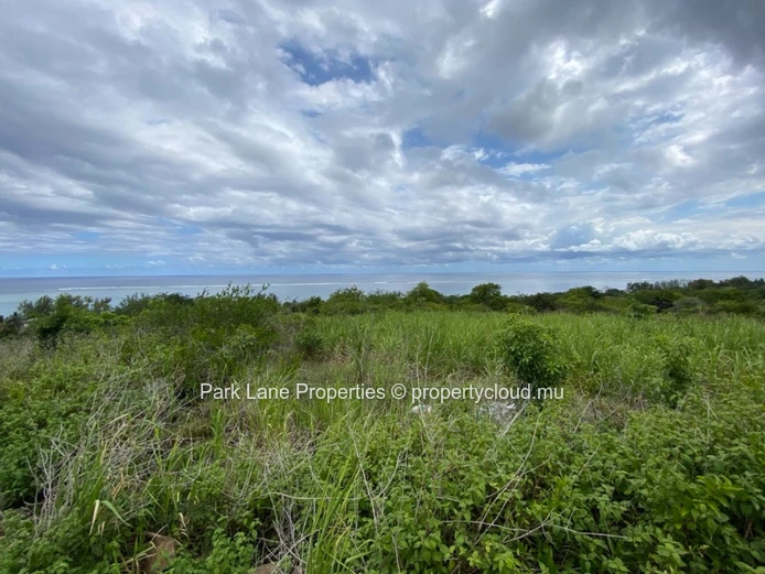 Large plot for future development