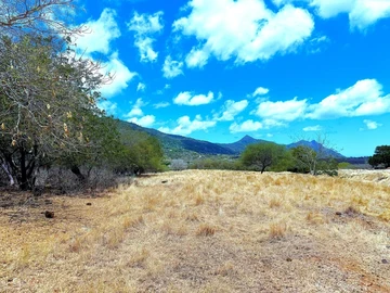Terrain Résidentiel