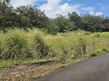 Agricultural Land