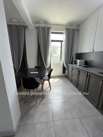 Fully Furnished Studio with Sea View for Rent in Trou aux Biches