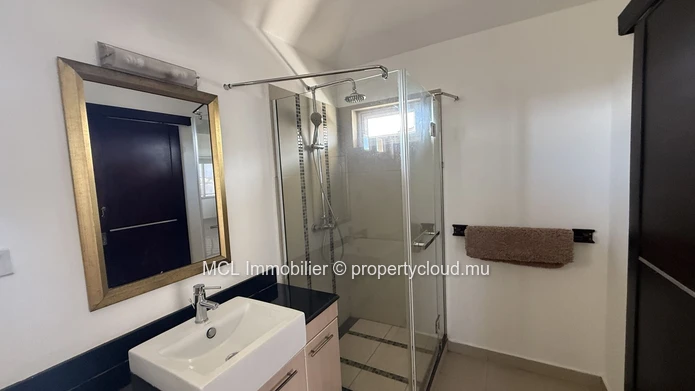 Penthouse de 3 chambres à Chemin 20 pieds