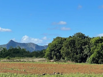 Terrain Agricole