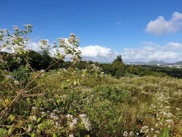 Terrain Résidentiel