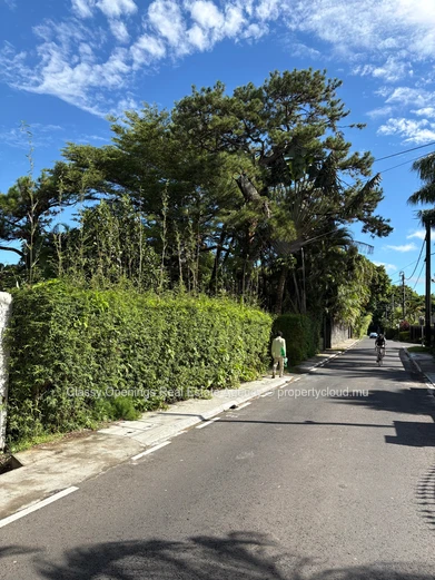1,015 m² Corner Plot on Quiet Tree-Lined Street, Curepipe