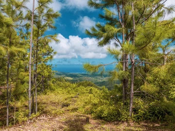 Magnificent and maintained plot with outstanding views