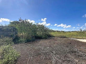 Terrain