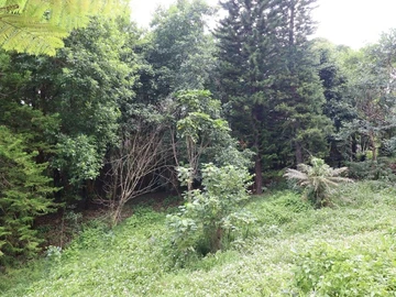 Commercial Land