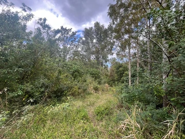 Agricultural Land