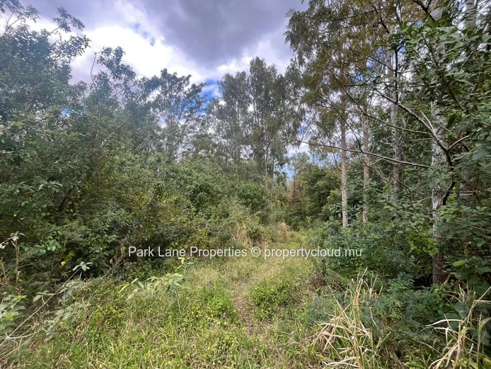 Agricultural land of 50 perches on the mountain