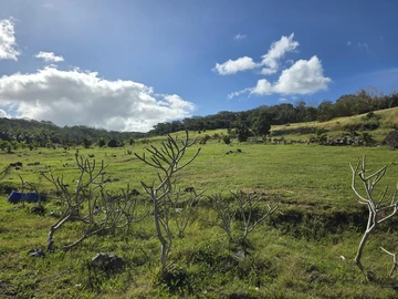 Residential Land