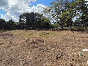 Residential Land