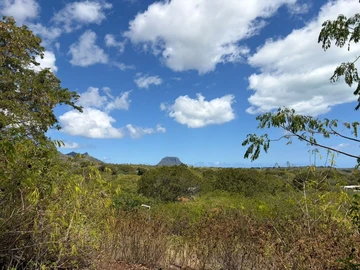 Terrain Résidentiel