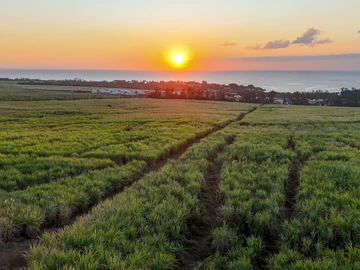 For Sale - A Plot Of Land - Albion