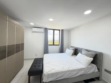 3 Bedroom Penthouse
