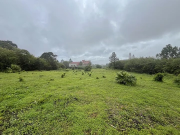 Terrain Résidentiel