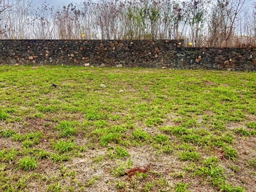 Residential Land