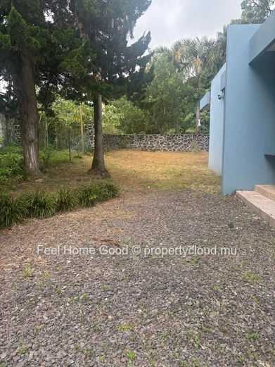  60 Detached house for rent as office space, with ample parking.