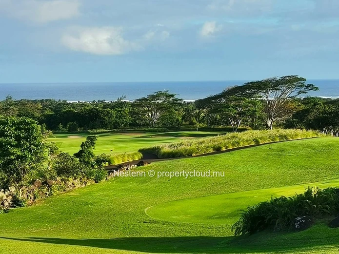 Terrain de 35 981 m2 avec vue époustouflante sur tout le Sud sauvage, idéal pour un projet immobilier