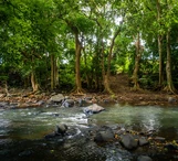 Investissement dans la terre à Tamarin - Terrain résidentiel de premier choix à Tamarin, avec vue sur la rivière et l...