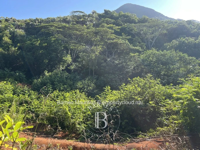 CHAMAREL - Terrain agricole - 10 276 m²