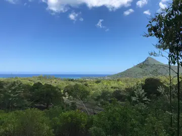 Terrain